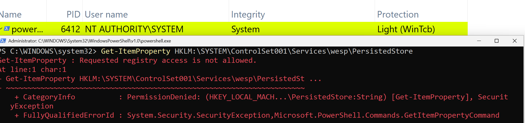 WESP persisted client registry access denied